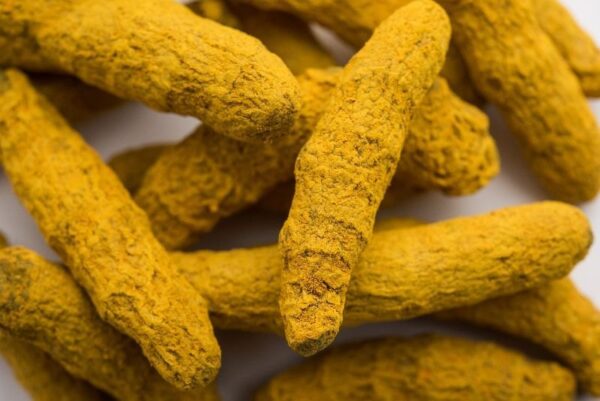 Dry Turmeric Finger - Image 2