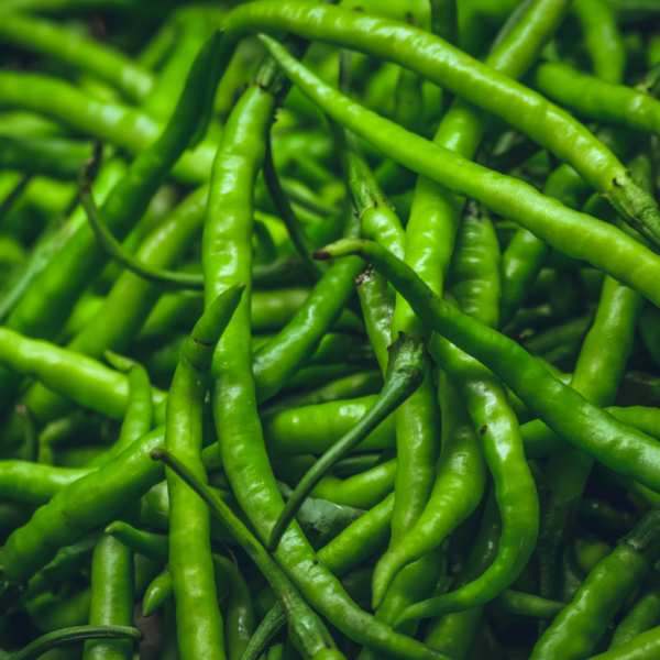 Fresh Green Chilli